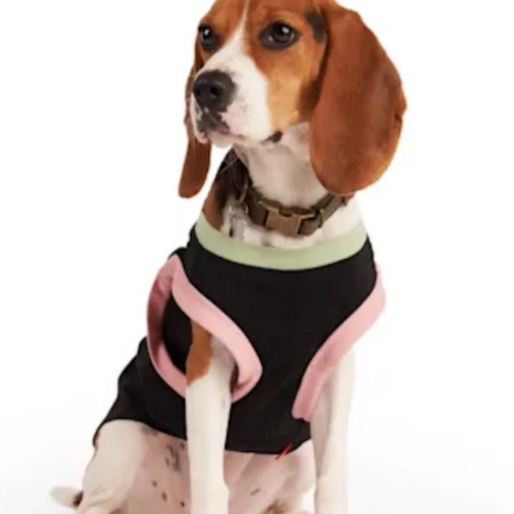 NWT Reddy tiger dog  t-shirt L​